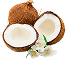 coconut